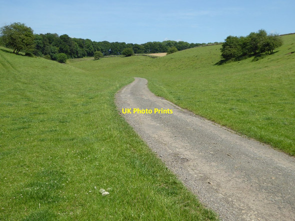 Photo 6"x4" Road to Macaroni Downs Farm Eastleach Turville c2017