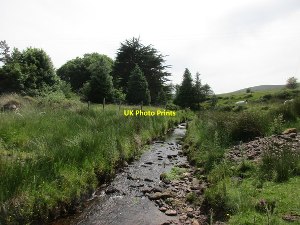 Photo 6"x4" A tributary of the River Sull at Clashganny West Newcastle\/S1213 c2017