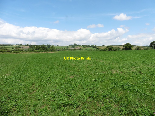 Photo 6"x4" Fields in Broad Valley Hill End\/ST5011 c2017