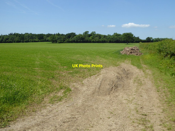 Photo 6"x4" Farmland near Williamstrip Farm Eastleach Turville c2017