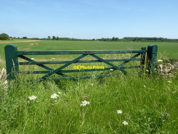 Photo 6"x4" Field gate Hatherop c2017