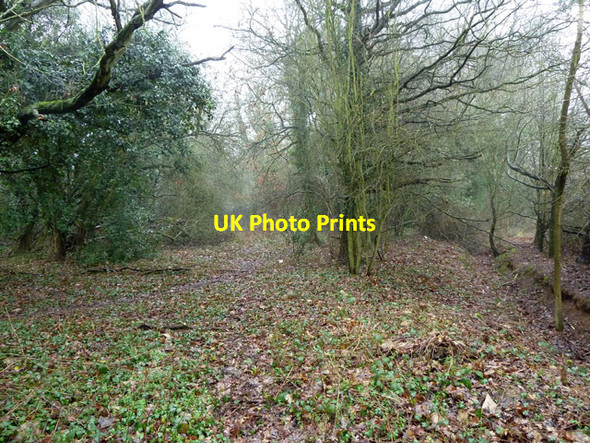 Photo 6"x4" Wooded belt, Selsdon Sanderstead c2011