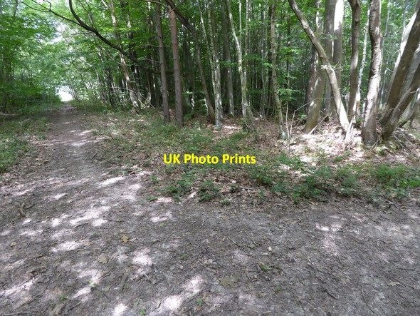 Photo 6"x4" London Countryway in Surrey (11) Goodley Stock c2017