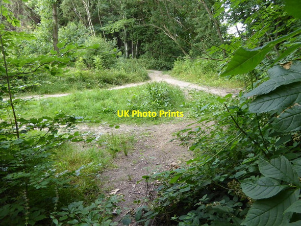 Photo 6"x4" London Countryway in Surrey (12) Goodley Stock c2017