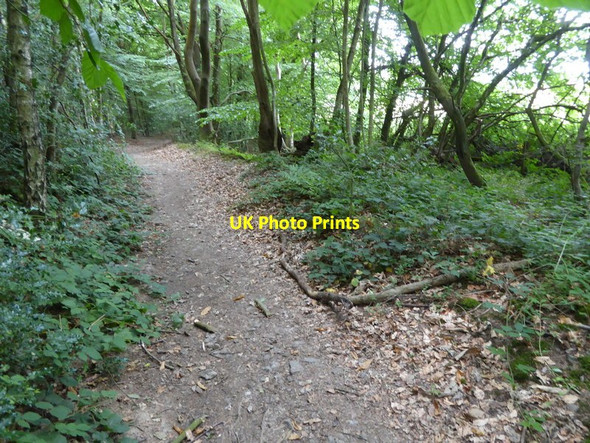 Photo 6"x4" London Countryway in Surrey (14) Goodley Stock c2017