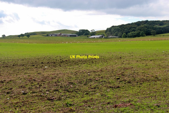 Photo 6"x4" Portrye farm land, Great Cumbrae Largs\/NS2059 c2017