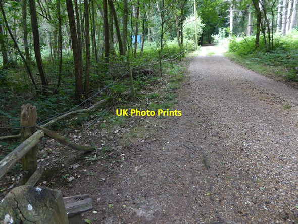 Photo 6"x4" London Countryway in Surrey (19) Goodley Stock c2017