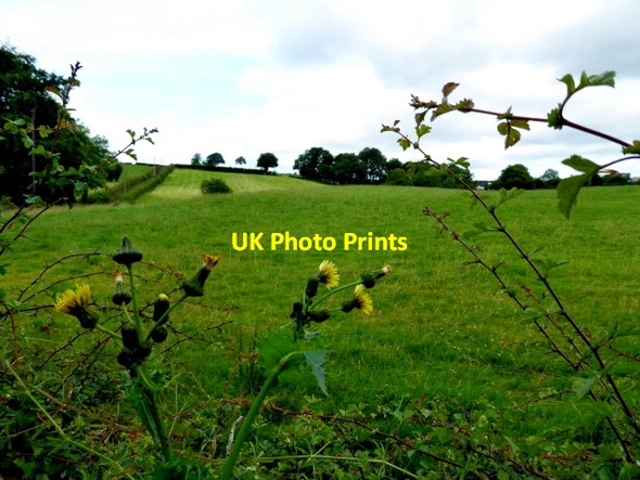 Photo 6"x4" Tycanny Townland Garvaghy c2017
