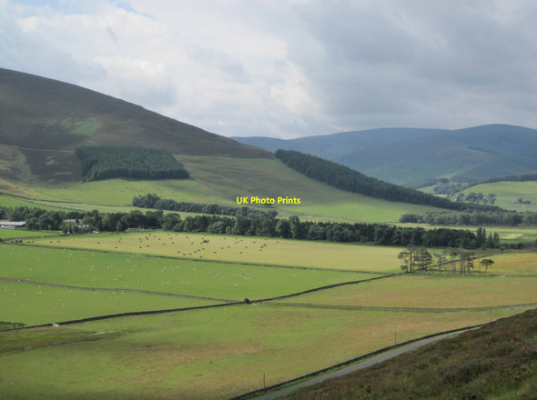 Photo 6"x4" Silage field at Hundleshope Hundleshope c2017