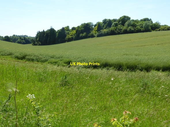 Photo 6"x4" Arable land in the Coln valley Coln St Aldwyns c2017
