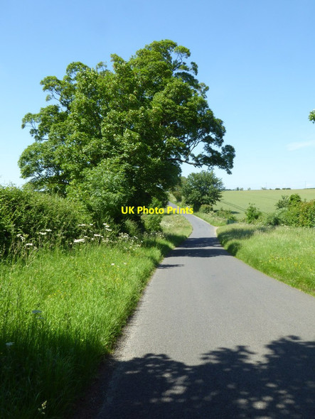 Photo 6"x4" The Salt Way Coln St Aldwyns c2017