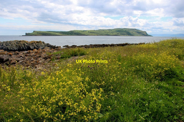 Photo 6"x4" Nupkur Point Millport c2017