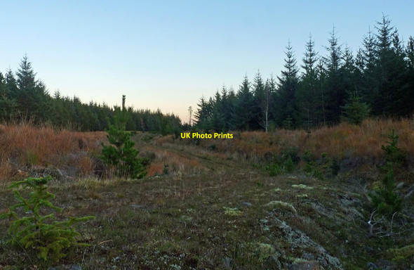Photo 6"x4" Forest track, Woodcock Hill Forest, Sutherland Woodcock Hill\/NC8848 c2015