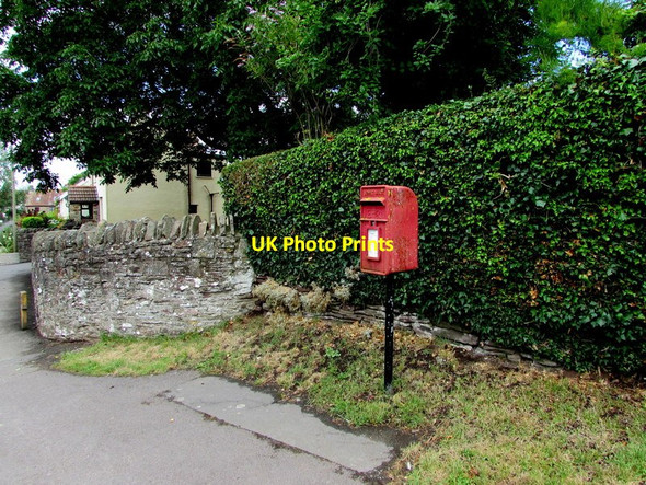 Photo 6"x4" Queen Elizabeth II postbox and a hedge, Nibley Lane, Nibley, South Gloucestershire Yate\/ST7182 c2017