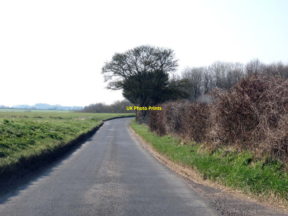 Photo 6"x4" Rural road to Stoke Charity Hunton\/SU4839 c2016