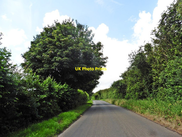 Photo 6"x4" Park Lane Lufton c2017