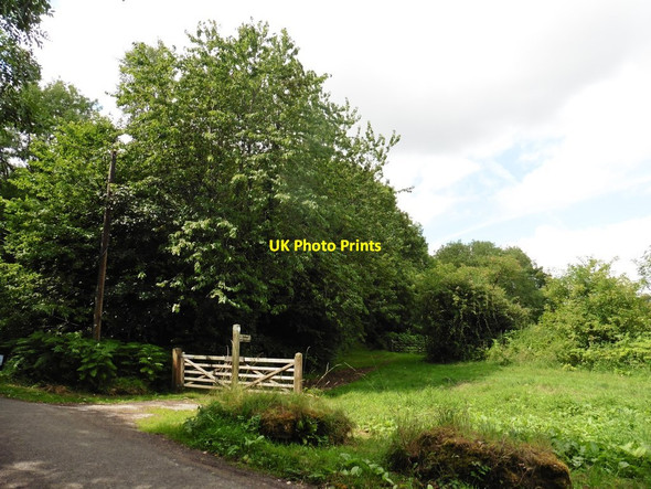 Photo 6"x4" Path to Hamdon Hill East Stoke\/ST4817 c2017