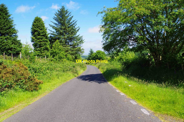 Photo 6"x4" The L7642 road near Ballinascorney Upper Jobstown c2017