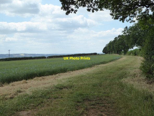 Photo 6"x4" Farmland above Little Compton Little Compton c2017