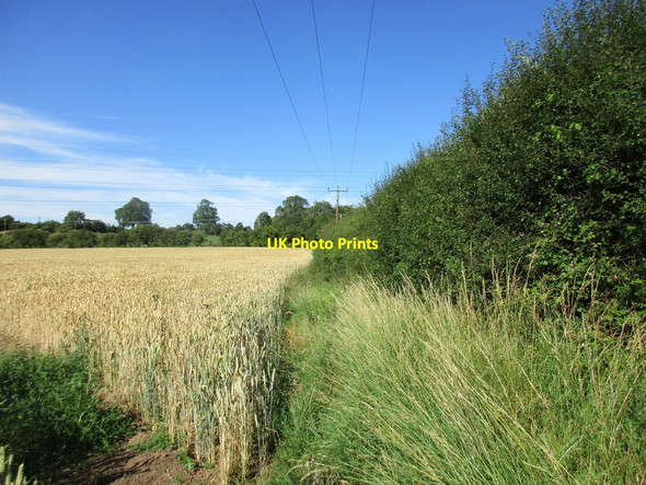 Photo 6"x4" Field edge and power lines Southwell\/SK7053 c2017