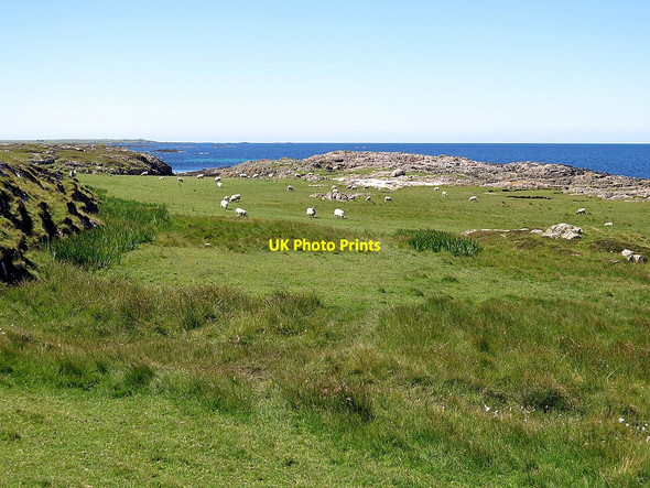 Photo 6"x4" Sheep grazing near Ringing Stone Vaul c2017