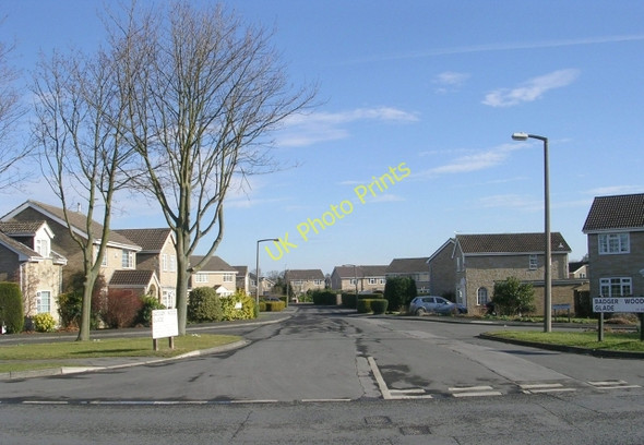 Photo 6"x4" Badger Wood Glade - Deighton Road Wetherby c2009
