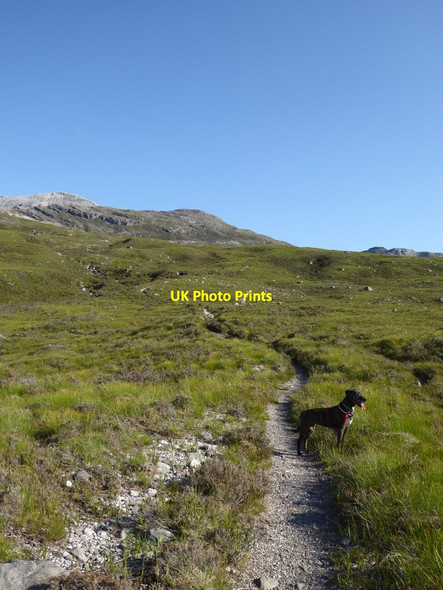 Photo 6"x4" Path above the Ling Hut, Glen Torridon Sgorr nan Lochan Uaine c2017
