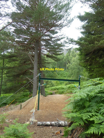 Photo 6"x4" Zip wire in woodland at Allt-na-Criche Lynwilg c2017