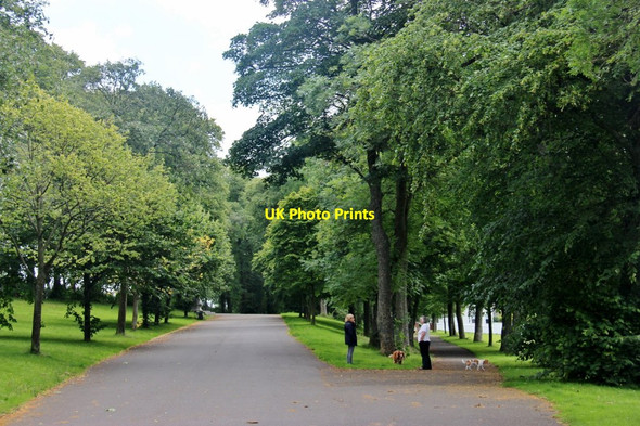 Photo 6"x4" Driveway in Bellahouston Park Bellahouston c2017