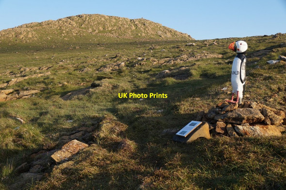 Photo 6"x4" The Unstfest Puffin 'Harald', Muckle Heog Bothen c2017
