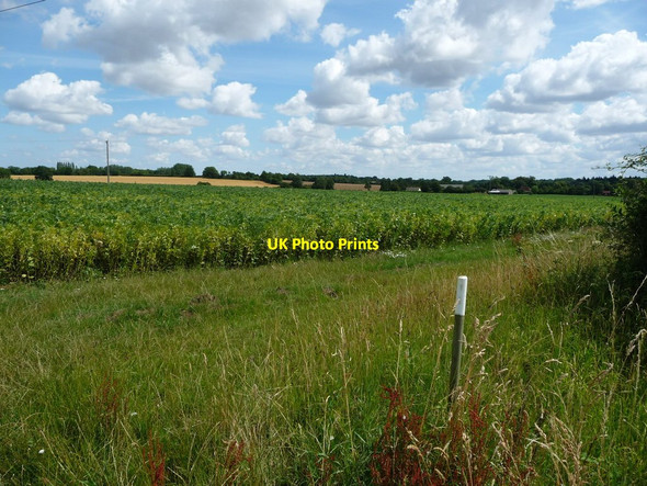 Photo 6"x4" Arable field, north side of Ixworth Road West Street\/TL9870 c2017