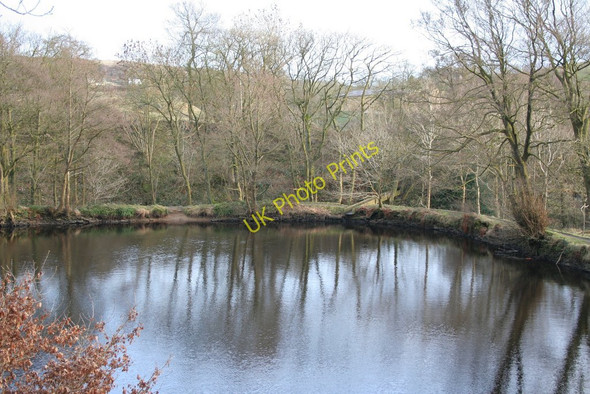 Photo 6"x4" Millpond, Goose Eye Goose Eye c2009