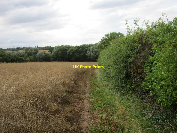 Photo 6"x4" Bridleway to Halloughton and Brackenhurst Southwell\/SK7053 c2017