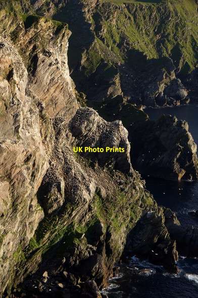 Photo 6"x4" Saito from the Neap, Hermaness Burrafirth c2017