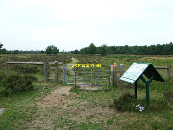 Photo 6"x4" Entrance To Brandon Park Heath Brandon\/TL7886 c2017