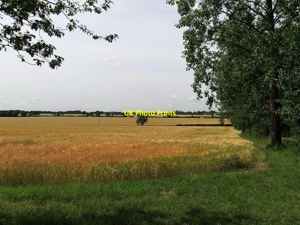 Photo 6"x4" Open Fields Bridge Green\/TL4636 c2017