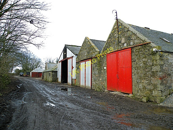 Photo 6"x4" Mains of Knockhall Newburgh\/NJ9925 c2009