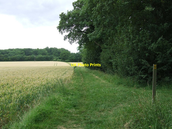 Photo 6"x4" Footpath Junction Broad Green\/TL4439 c2017