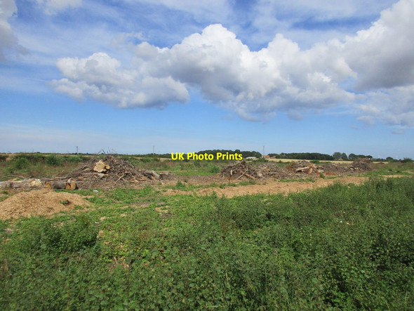 Photo 6"x4" The remains of Oak Cottage Plantation New Ellerby c2017