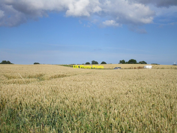 Photo 6"x4" Road through the wheat fields New Ellerby c2017