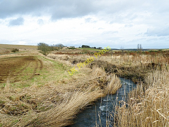 Photo 6"x4" Tarty Burn Tipperty\/NJ9626 c2009