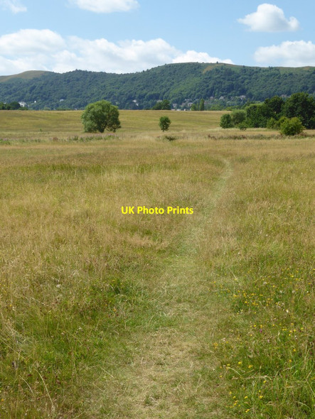 Photo 6"x4" Malvern Common Great Malvern c2017