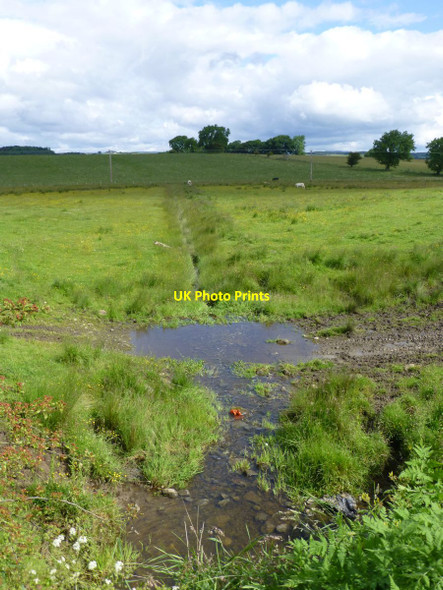 Photo 6"x4" Tributary to the Kirkharle Burn Kirkharle c2016