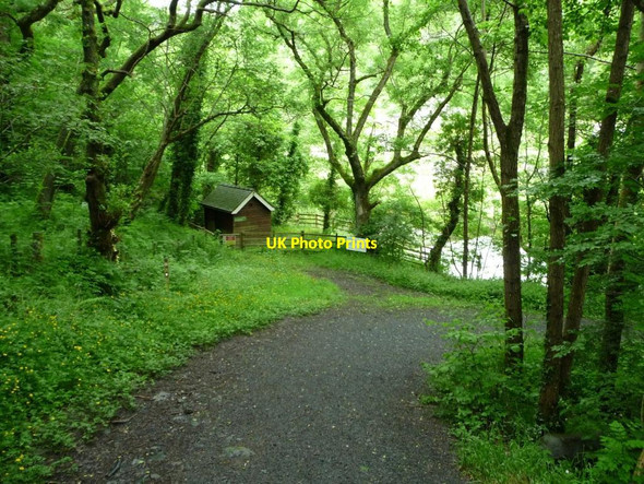 Photo 6"x4" Path down to Afon Clywedog and Bryntail Mine Glyn\/SN9286 c2016
