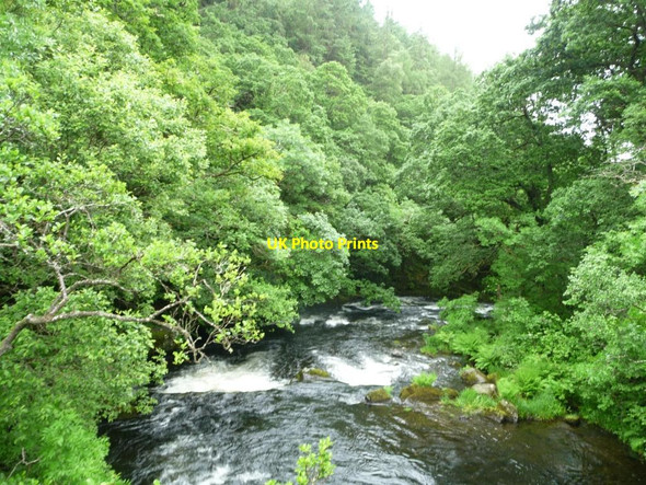 Photo 6"x4" Afon Clywedog alongside Gelli Wood Glyn\/SN9286 c2016