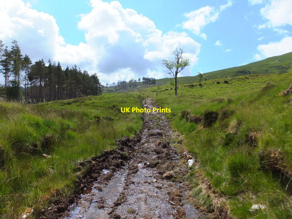 Photo 6"x4" Forestry extraction track, Coulin Estate Coulin Lodge c2016