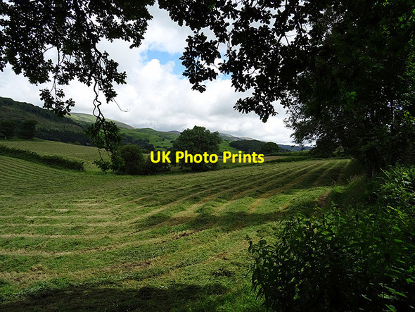 Photo 6"x4" Recently harvested hay Cwrt\/SH6800 c2016