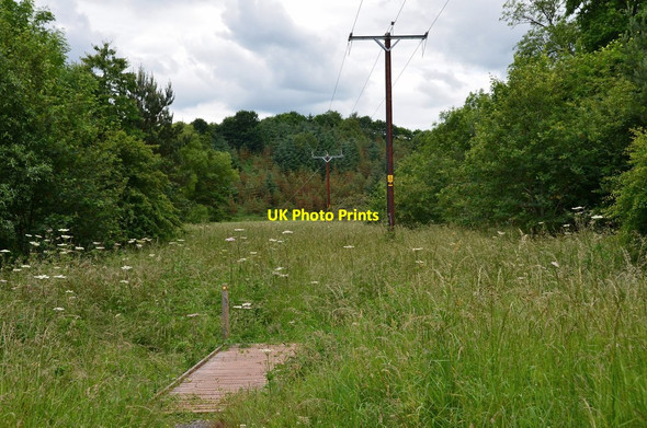 Photo 6"x4" Jubilee Path by the Leader Water Redpath\/NT5835 c2016