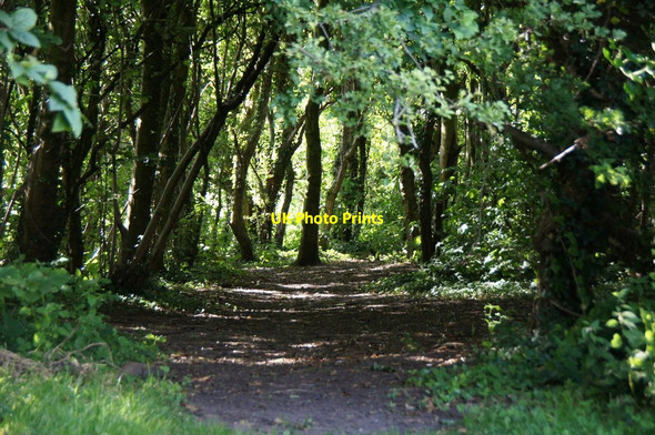 Photo 6"x4" Path in Melling Delph Maghull c2016