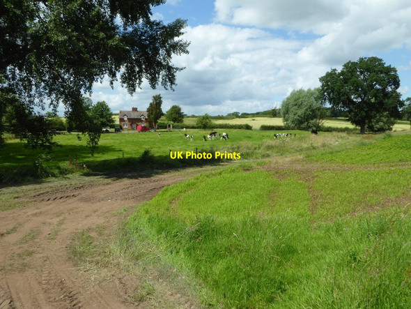 Photo 6"x4" Cottage near Forthampton Court Tewkesbury c2016